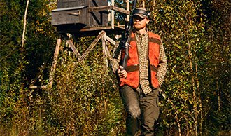 Pinewood veste