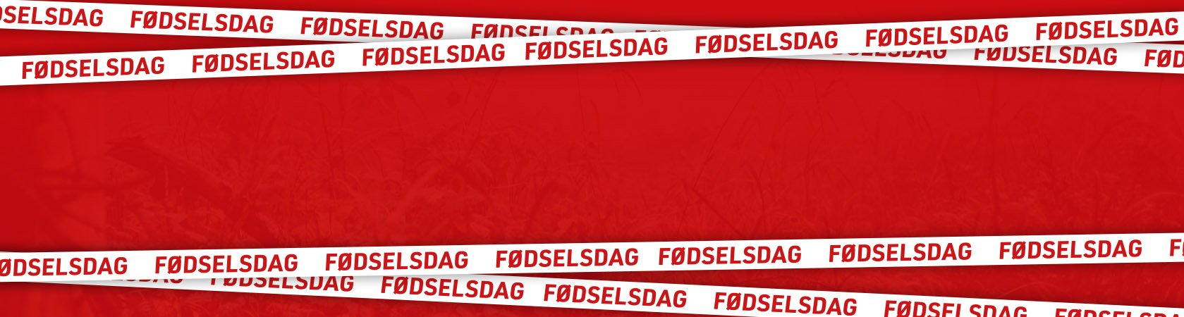 Vi fejrer fødselsdag!