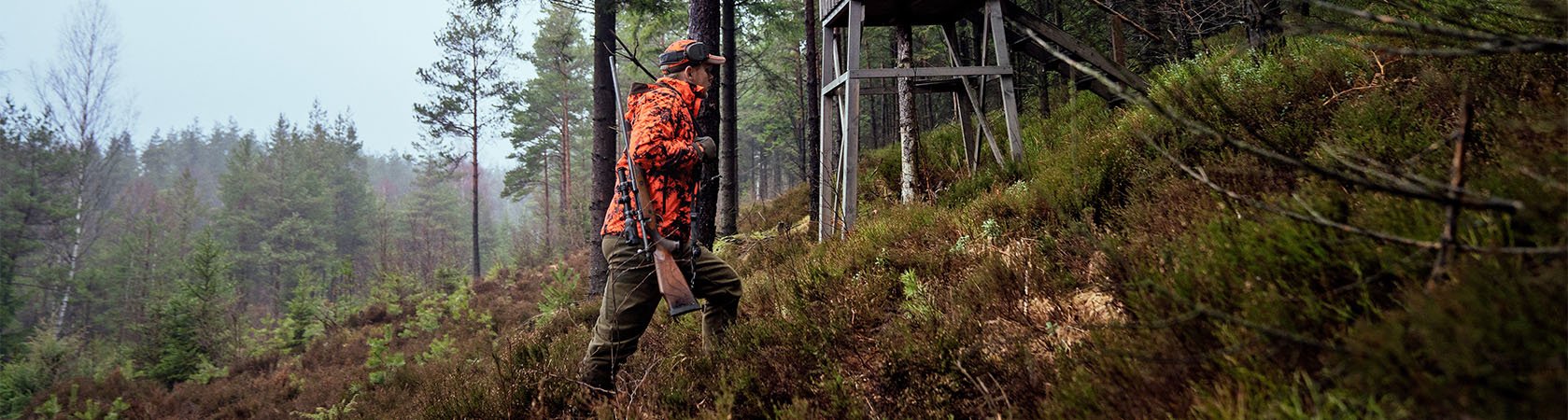 Bukkejagt i Sverige