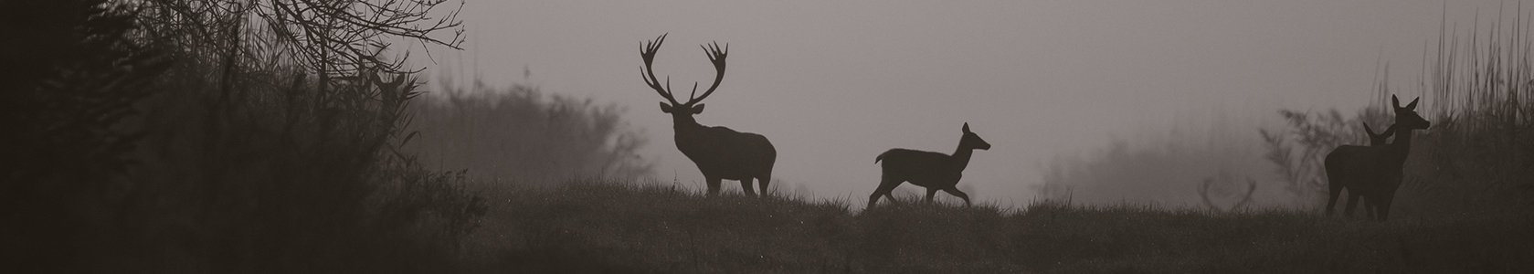 Hunters in action