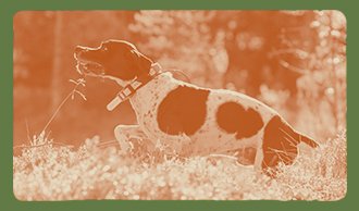 Outdoor Week | Hundeudstyr