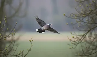 Kr&aelig;ver list og god teknik