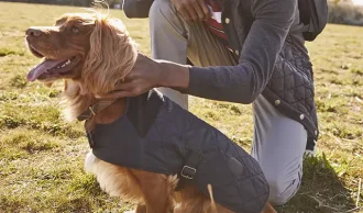 Hundedkken & veste