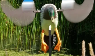 Lokkender