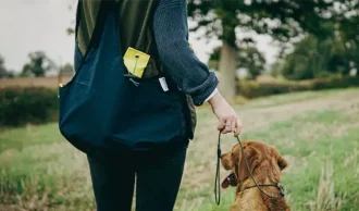 Tilbehr til hundetrning