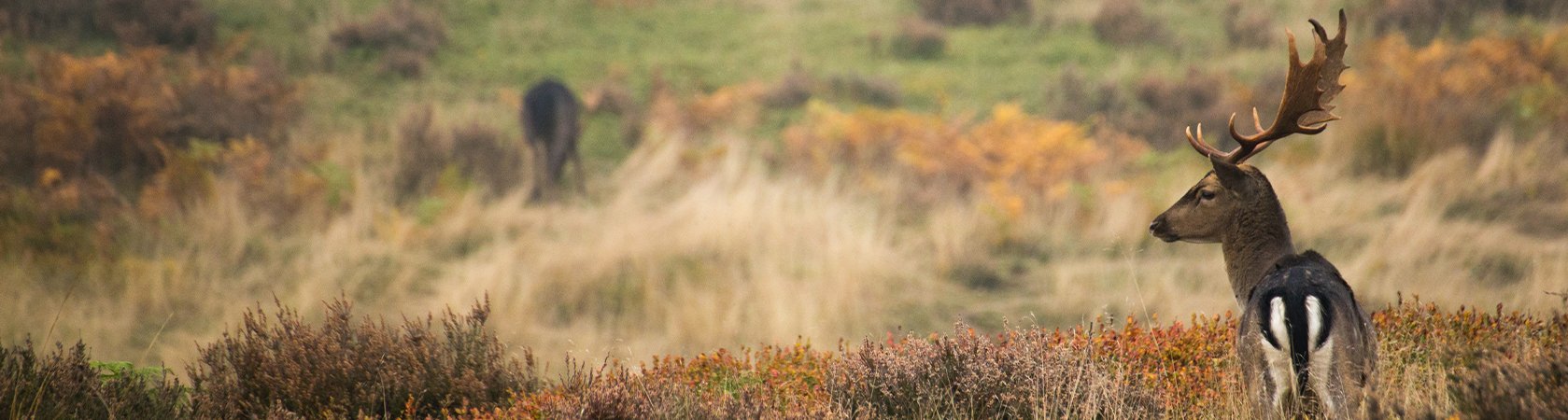 F&aring; opm&aring;lt dit trof&aelig;