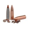 Barnes Varmint HP .204 32gr FB (30092) 100stk Projektiler