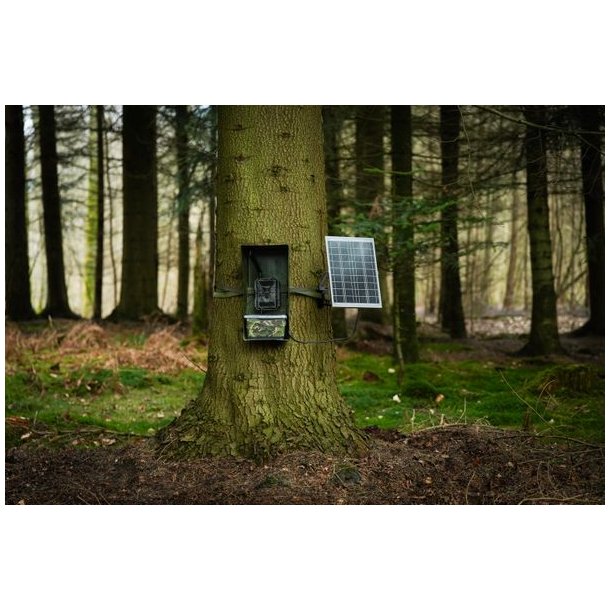 Beskyttelseskasse til vildtkamera og batteri Glasfiber