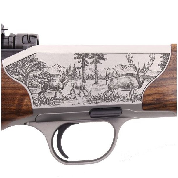 Blaser R8 Kronhjort/vildsvin GR4 308win 17 58cm M15X1 Riffel