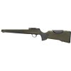 Blaser R8 Professional 2.0  Dark Olive �17 System