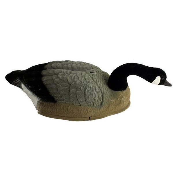 Canada skal Flock Lokkefugl