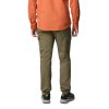 Columbia Skien Valley Cargo Pant Stone Green