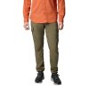 Columbia Skien Valley Cargo Pant Stone Green