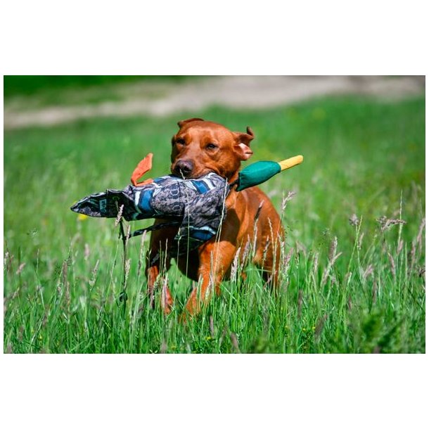 Dead Bird Pro Dummy 700g Mallard