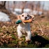 Dokken Puppy Dead Fowl Trainer Mallard