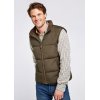 Dubarry Graystown Vest Olive