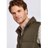 Dubarry Graystown Vest Olive