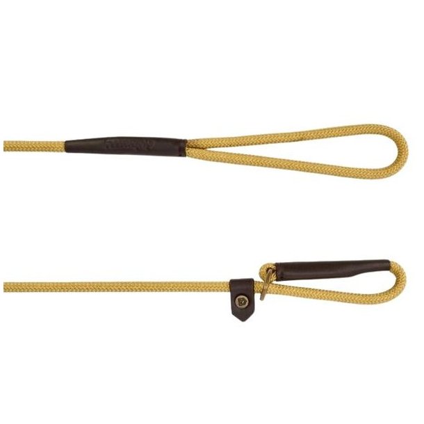 Dubarry Marley Hundeline Gold