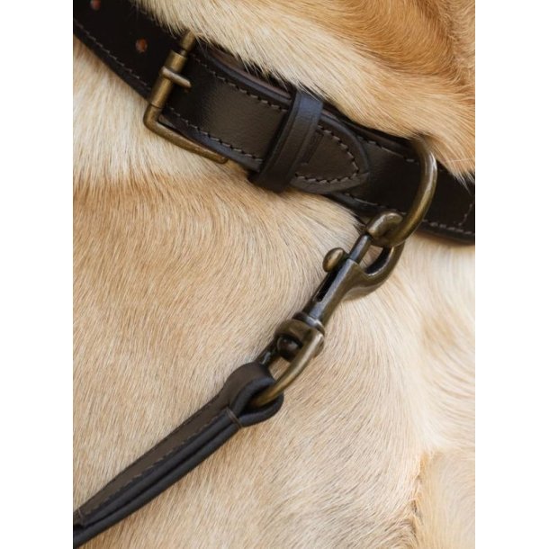 Dubarry Ranger Hundeline i l�der Mahogany