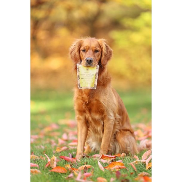 Essential Farm & Fields Tiny Crackers 100g