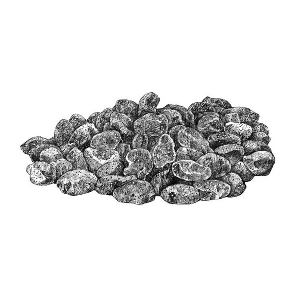 Essential Lake & Sea Tiny Crackers 100g