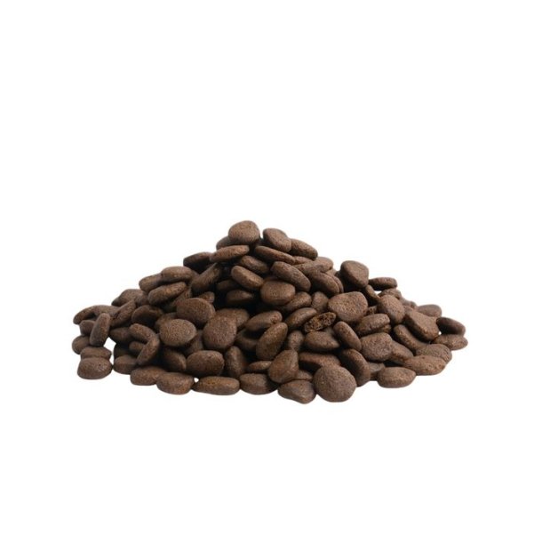 Essential The Beginning Large Breed Nautical 10kg