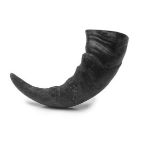 Frigera B�ffelhorn L 1 stk.