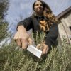 Gerber Flatiron Folding Cleaver G10