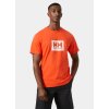 Helly Hansen Box T-shirt SS Flame