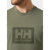 Helly Hansen Box T-shirt SS Lay Green