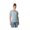 Helly Hansen Skog Graphic Tee W Windy Blue