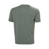 Helly Hansen Skog Graphic T-shirt Green Cactus