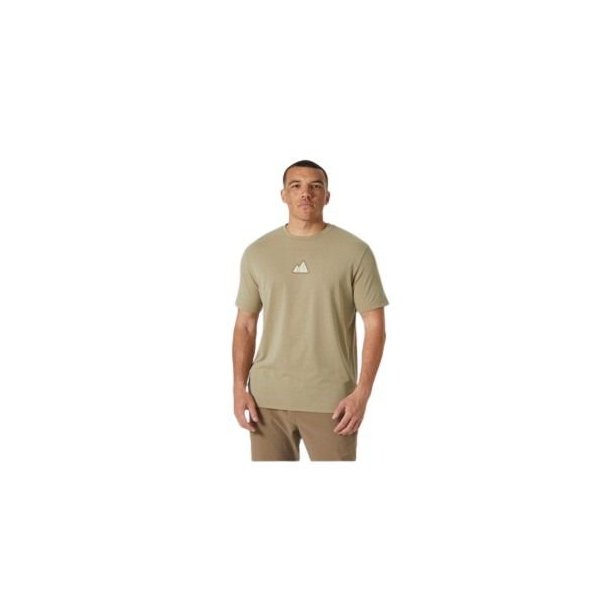 Helly Hansen Skog Graphic T-shirt Pebble