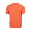 Helly Hansen Skog Graphic T-shirt Bonfire