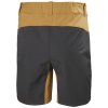 Helly Hansen Vika Tur Shorts Lynx
