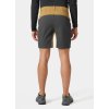 Helly Hansen Vika Tur Shorts Lynx