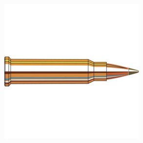 Hornady 17HMR 15,5gr  NTX  (83171) NTX
