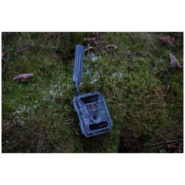 Huntcom Lucus 4G-Vildtkameras�t inkl J�ger-SIM, SD-Kort, 12V-Lithiumbatteri (LiFePO4) og Kabel