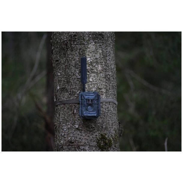 Huntcom Lucus 4G-Vildtkameras�t inkl J�ger-SIM, SD-Kort, 12V-Lithiumbatteri (LiFePO4) og Kabel