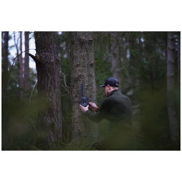 Huntcom Lucus 4G-Vildtkameras�t inkl J�ger-SIM, SD-Kort, 12V-Lithiumbatteri (LiFePO4) og Kabel