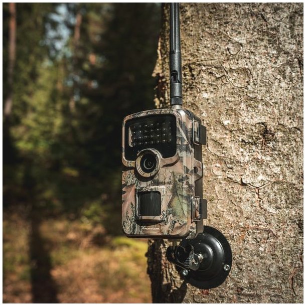 Huntcom Silva 4G Vildtkamera inkl. Jger SIM SD Kort, 12V batteri og kabel