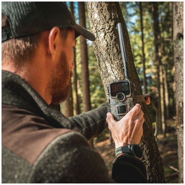 Huntcom Silva 4G Vildtkamera inkl. Jger SIM SD Kort, 12V batteri og kabel