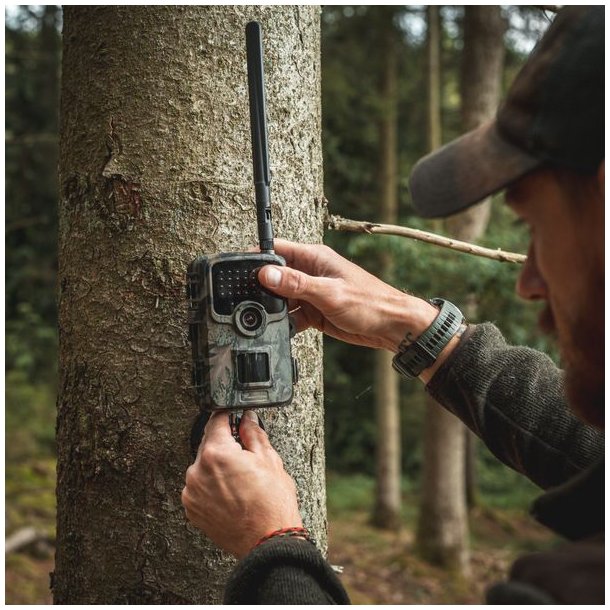 Huntcom Silva 4G Vildtkamerast med Jger SIM, SD Kort og 8 AA-batterier