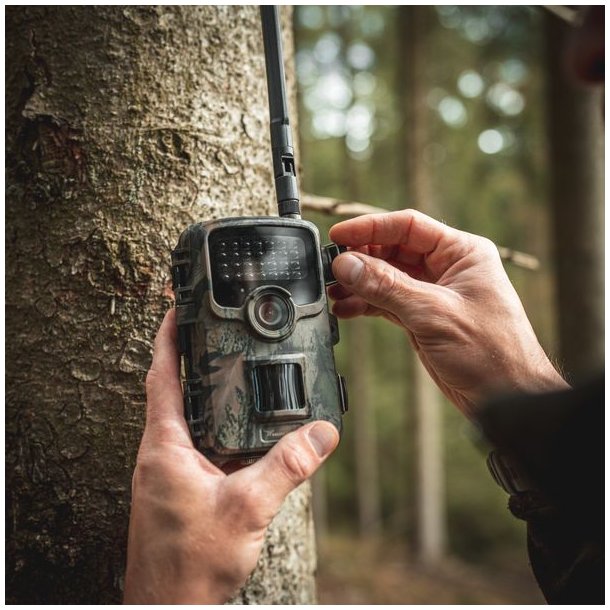 Huntcom Silva 4G Vildtkamerast med Jger SIM, SD Kort og 8 AA-batterier