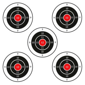 Huntcom Skydeskive 5 sm skiver 50stk