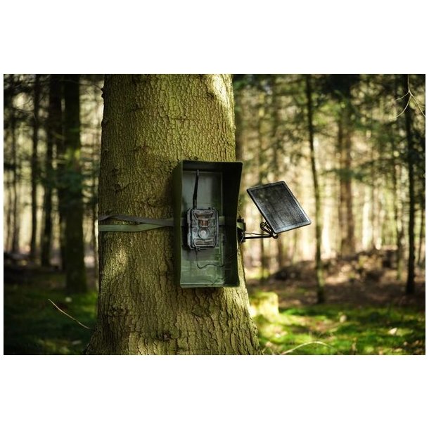 Huntcom Tree Mount Til Vildtkamera