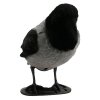 Krage Flock Lokkefugl