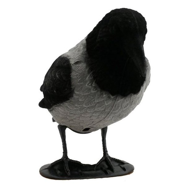 Krage Flock Lokkefugl