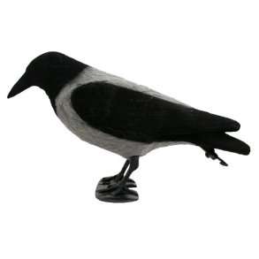 Krage Flock Lokkefugl