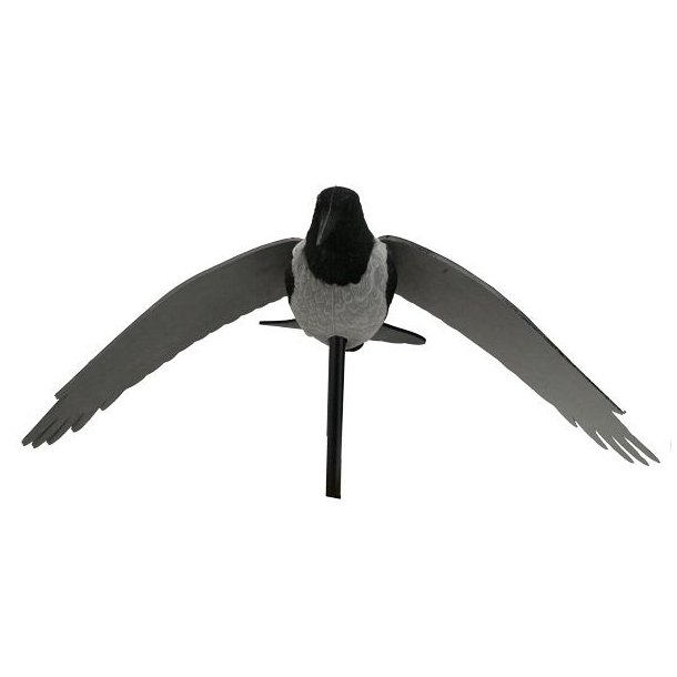 Krage Flock m/Vinger Lokkefugl